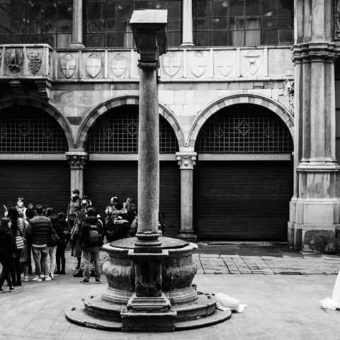 The Bride