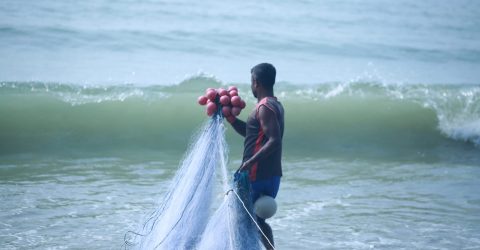 Traditional Net Catch Fishing at Bay-of-Bengal