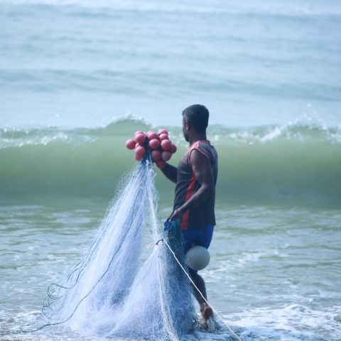 Traditional Net Catch Fishing at Bay-of-Bengal