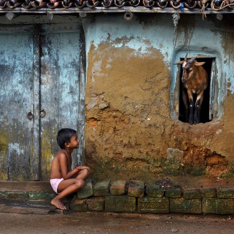 CHILD AND GOAT