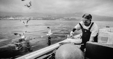 Fisherman and his daily friends, 2009