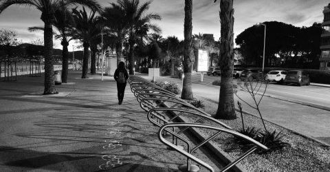 Evening walk