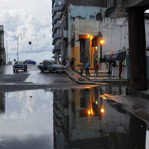 After the rain