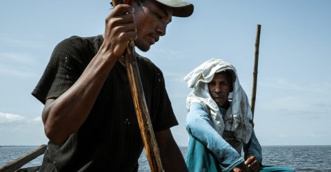 Fishermen, 2011