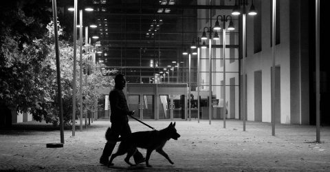 Walking the dog at night