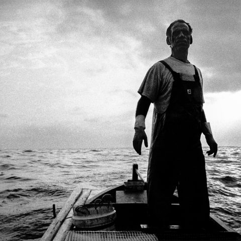 Fisherman, 2009