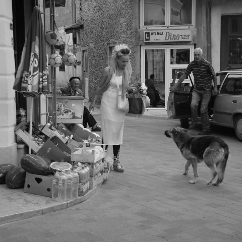 Lady in shopping