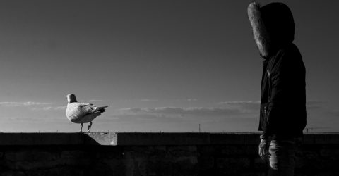 A Seagull and a Young Man