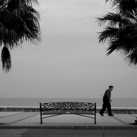 An Old Man, Palm Trees and the Sea