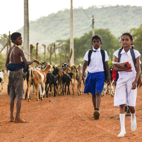 Thirst of Education