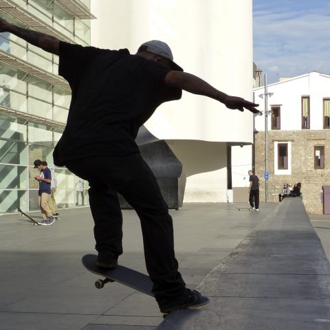 skate 2