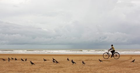 the  cyclist