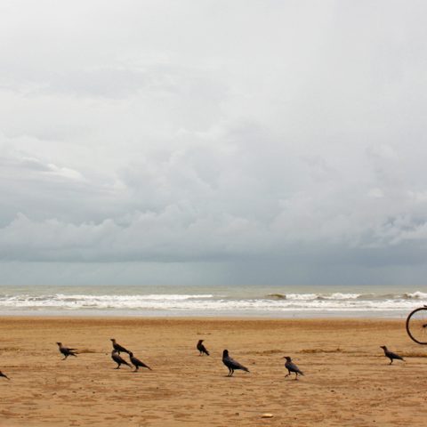 the  cyclist