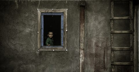 Window of the future