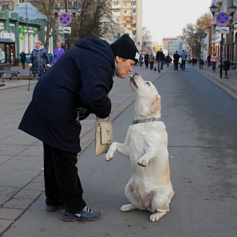 On the streets of Saratov