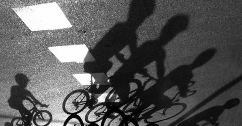 Shadows