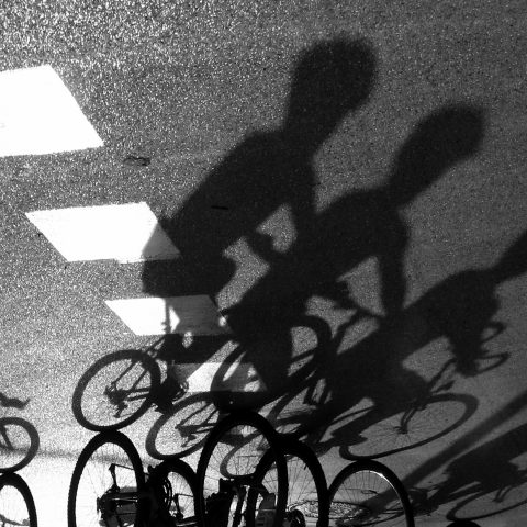 Shadows