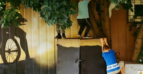 kids climbing