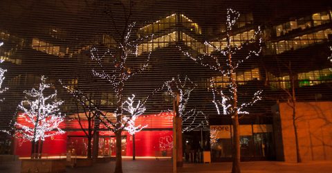 Reflections of the past, present and future