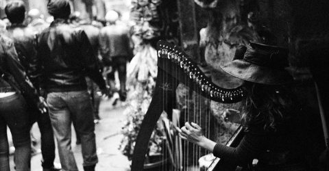 Harp
