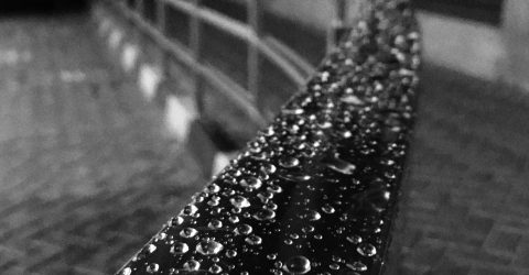 Dew drops