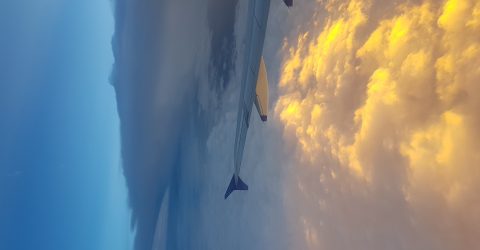 Skies