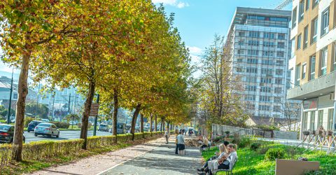 Autumn on Sarajevo’s street