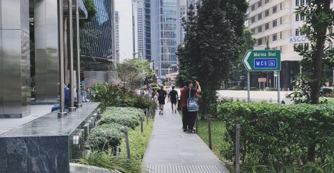 Pulau Singapura