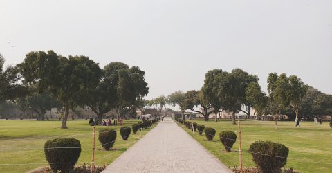 Symmetry
