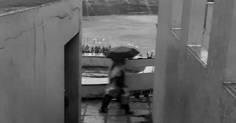 Going for work in motion