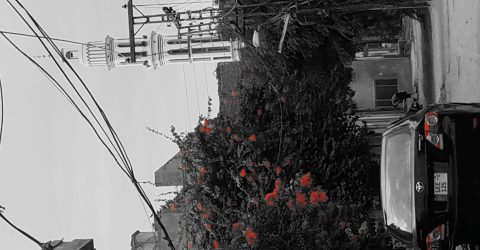 Loneliness of streets in winter