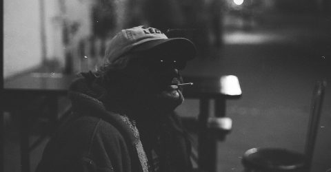 The Fly