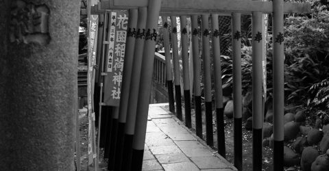 A gate to remember