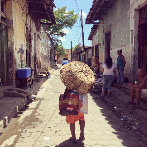 basket