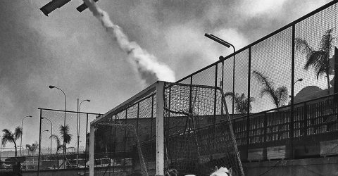 Horse and Canadair