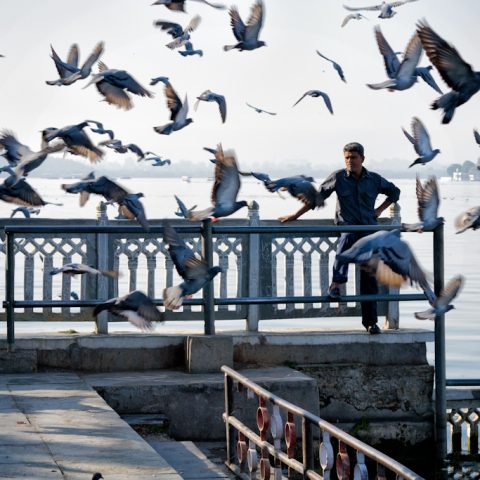 Pichola Lake, Udaipur, Rajasthan, India