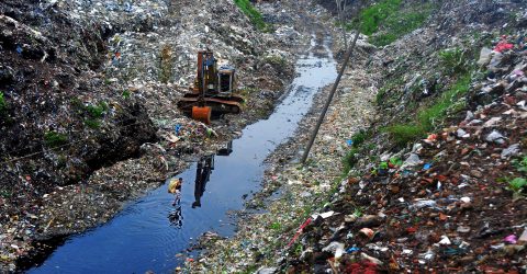 Finding life from garbage