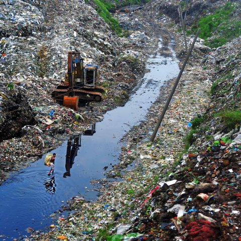 Finding life from garbage