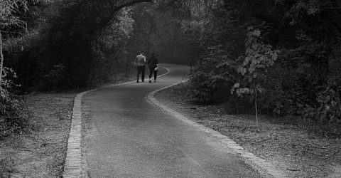 Walking