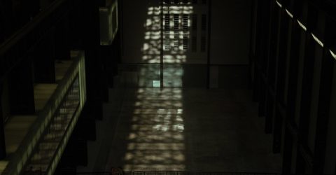 Light
