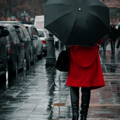 Red in rain.