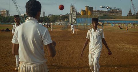 Cricket players