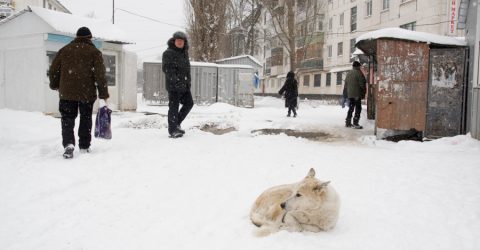 Lisichansk, january 2018.