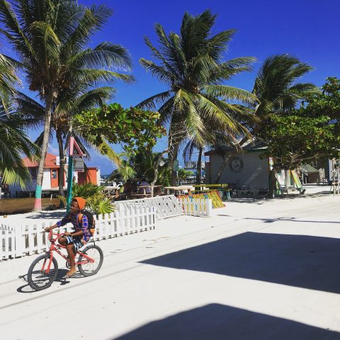 bike