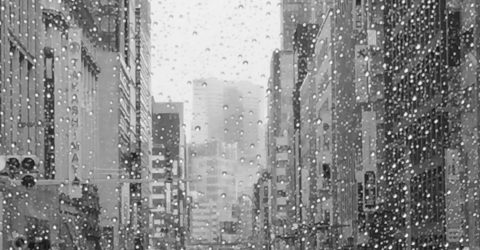 Rainy day