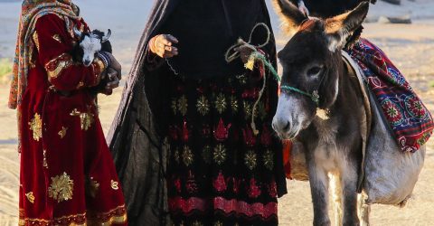 Bedouins