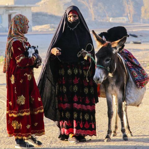 Bedouins