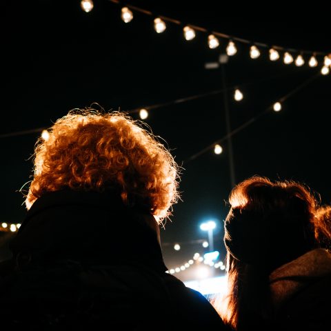 At the Fair