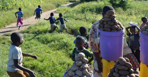 Potato sellers