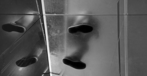 Self Reflexion